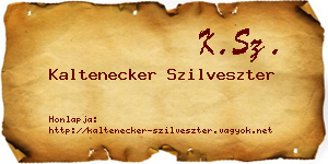 Kaltenecker Szilveszter névjegykártya